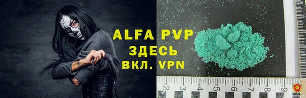 индика Алексин