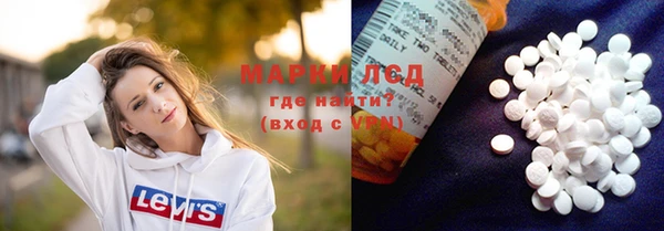 индика Алексин