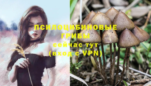 mix Алзамай