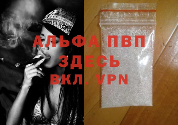 индика Алексин